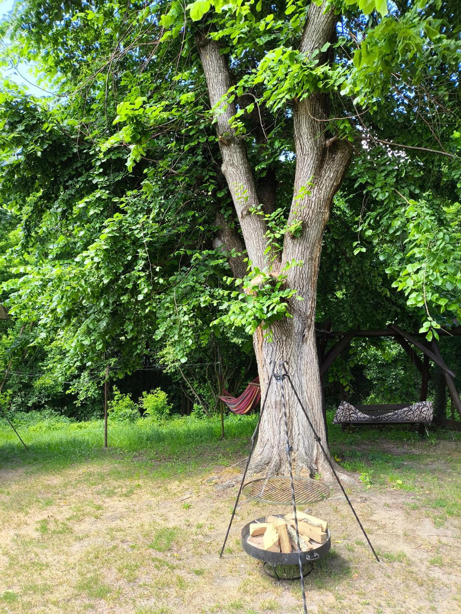 Zacisze Nad Pilica Stromiec